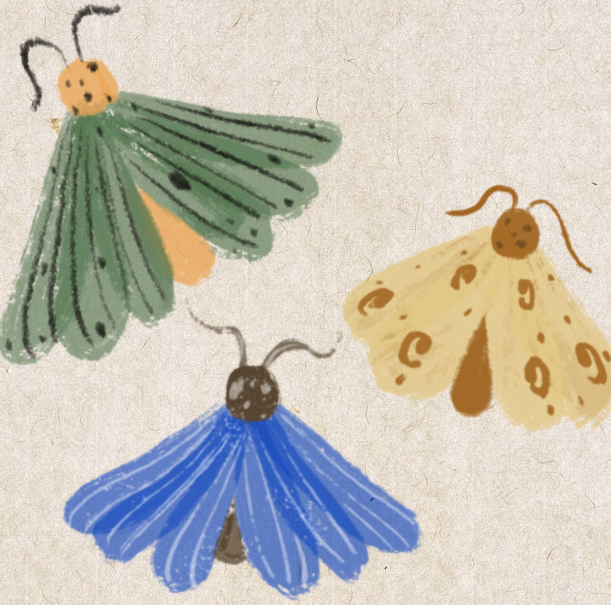 lucernaread.com favicon